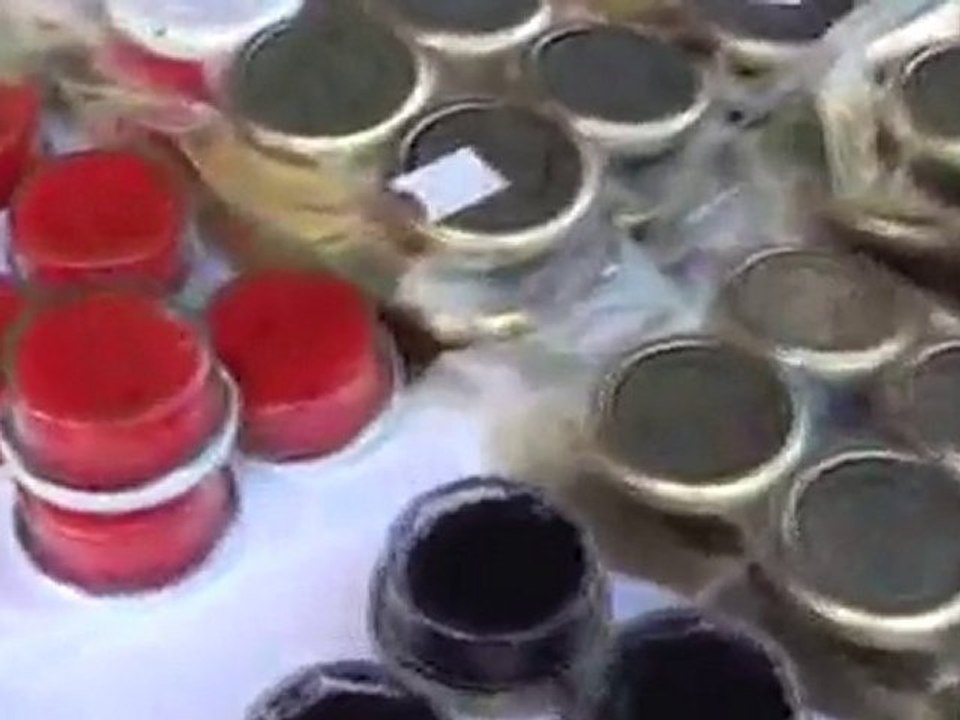 126.takaとkayoの世界旅行★ベルゲンinノルウェー(2日目) 世界遺産 動画