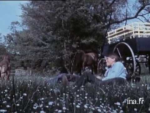 Vacances insolites en calèche