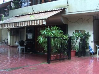 Indian doctors play down 'superbug' fears