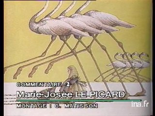 Alice au pays des merveilles