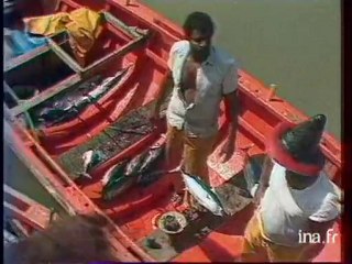 Elections aux Antilles : Martinique