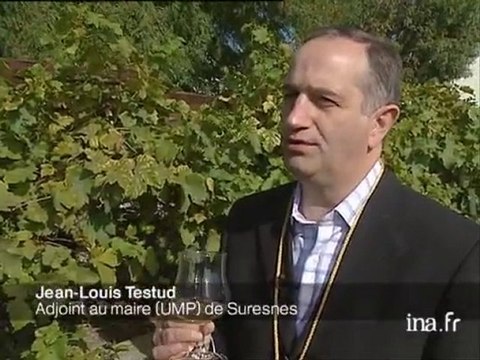 Suresnes : fêtes des vendanges