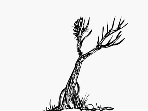 Dessine moi un arbre avec flash par zad artiste peintre