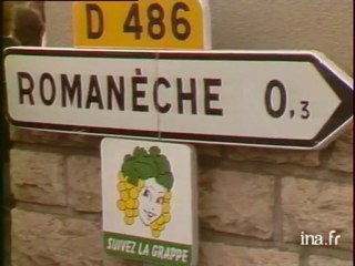 La route des vins du Mâconnais