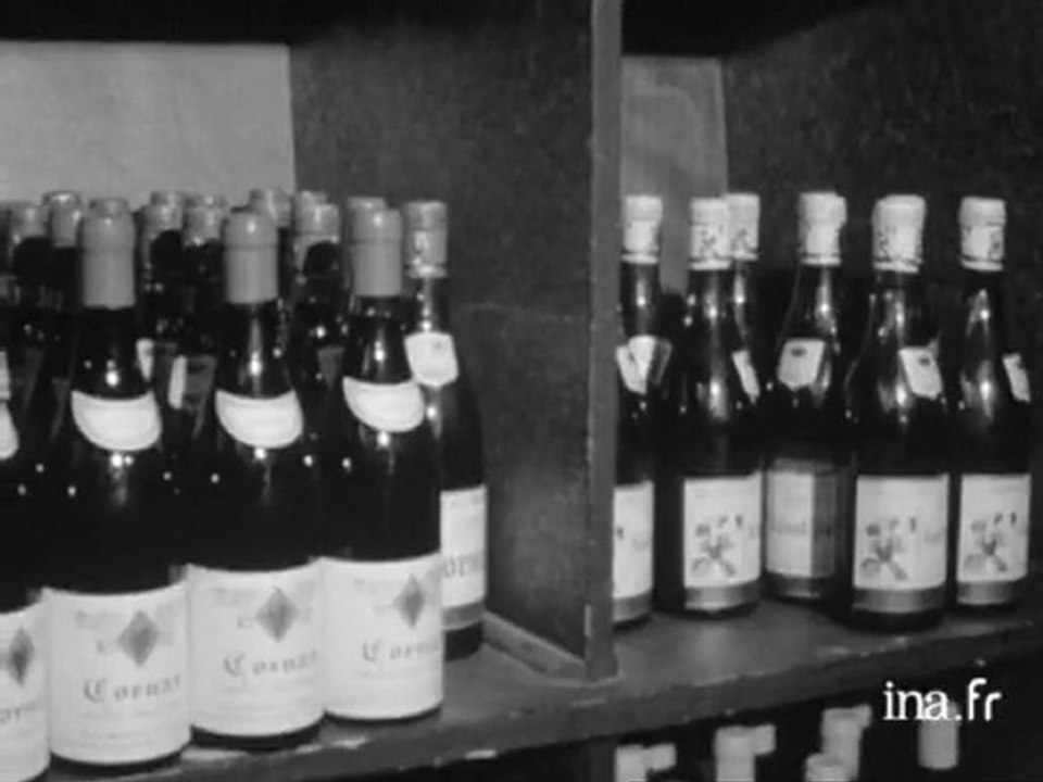 Les vins de Côtes du Rhône