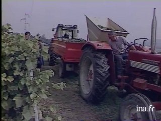 Les vendanges en Savoie