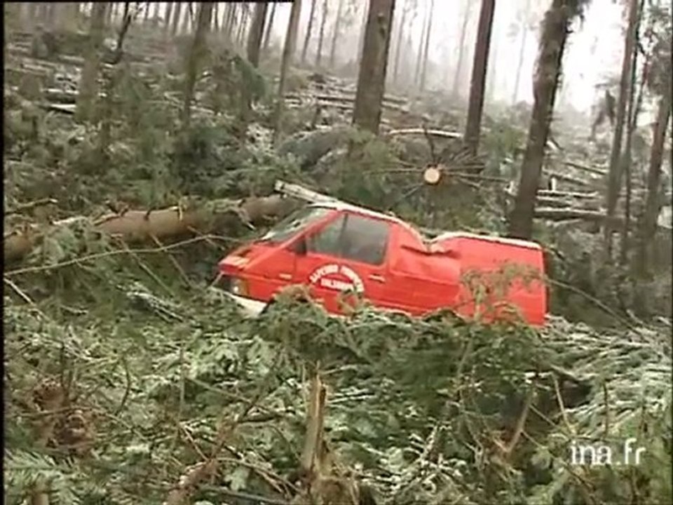 Tarare : RN 7 bloquée par une chute de sapins