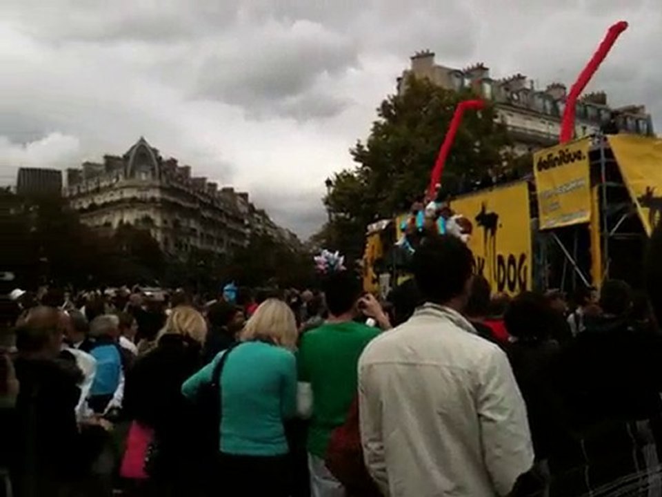 Technoparade 2010 @ Paris #1