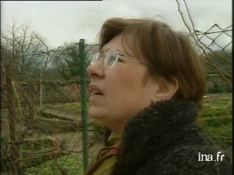 Relevé des dégâts causés par la tempête sur les monuments historiques : ex à Jouy aux Arches