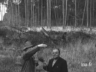 Une soucoupe volante atterri dans une clairière - Archive vidéo INA