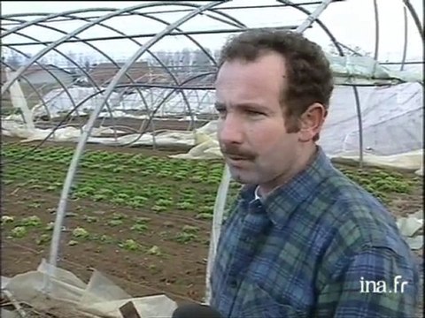 Maraîchers AUBOIS totalement sinistrés suite à la très violente tempête