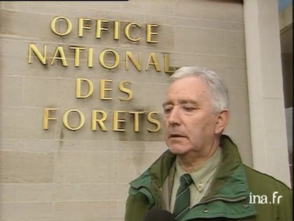 Forêt de l'Argonne en grande partie dévastée lors de la très violente tempête