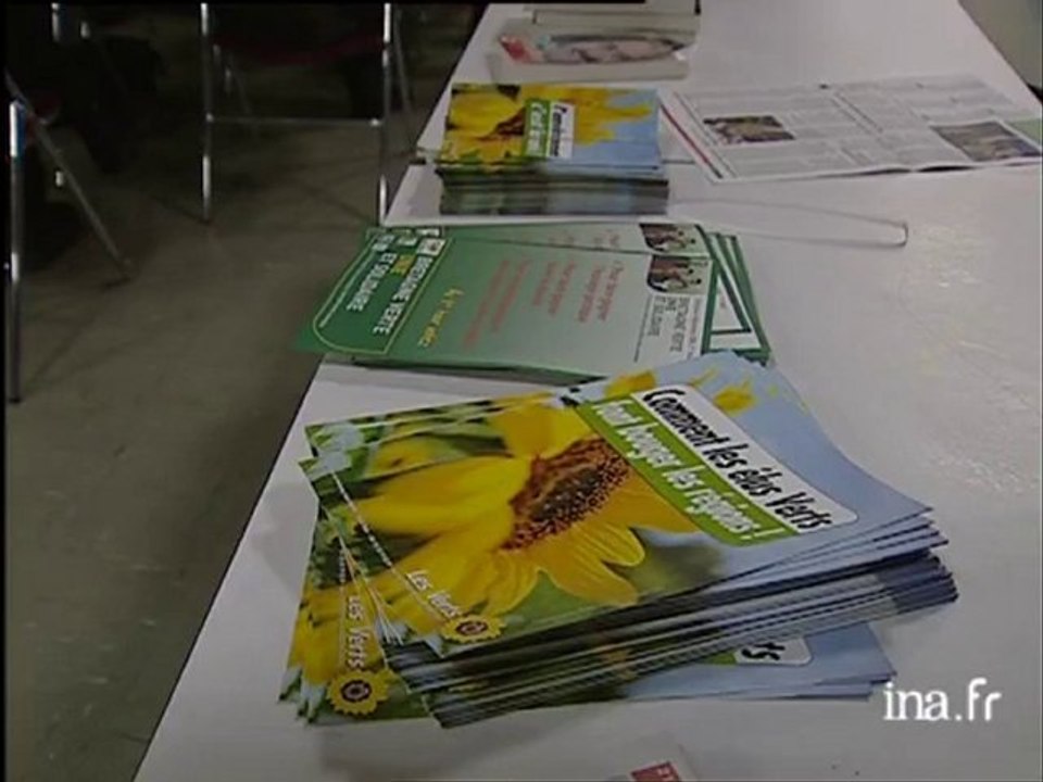Election régionale : meeting des Verts
