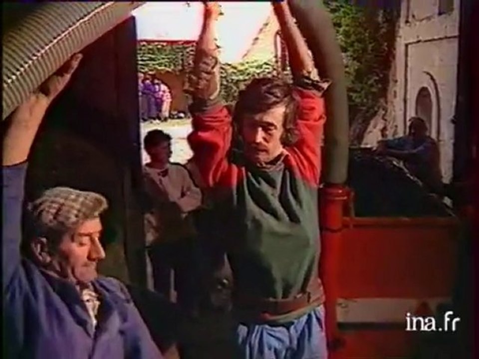 Les vendanges en Val de Loir