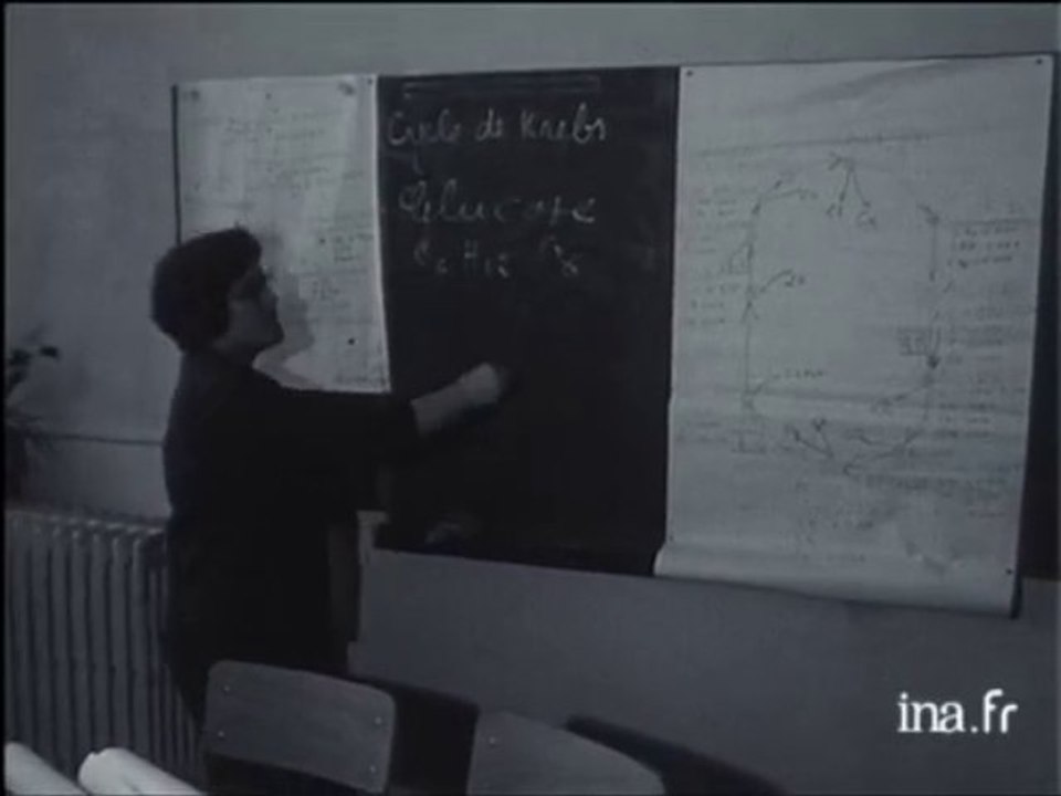 Réforme de l'enseignement ménager à l'école - Archive INA