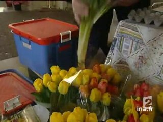 [Campagne électorale de Jean Saint Josse]