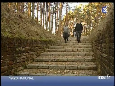 [Mesures d'urgence pour sauver la grotte de Lascaux]