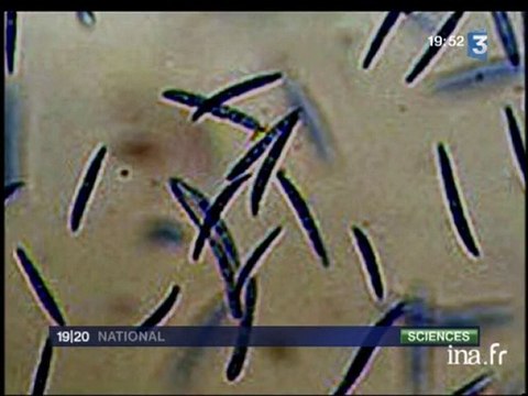 [Un simulateur numérique pour sauver la grotte de Lascaux]