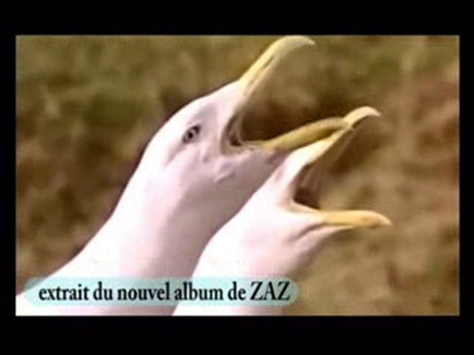 le zapping des animaux