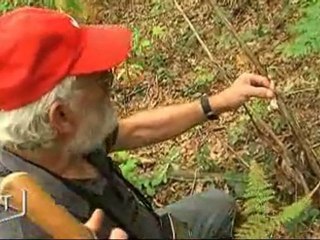 Cueillette de champignon : attention ! (Vendée)