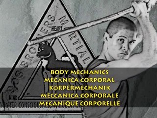 Exercices importants pour touts les arts martiaux