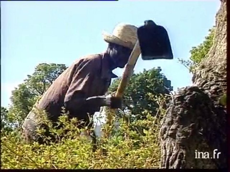 Retour des tontons macoute - Vidéo Dailymotion