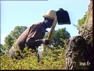 Retour des tontons macoute