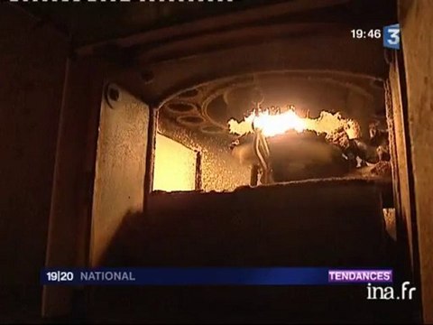 [Energie renouvelable : les granulés de bois pour se chauffer]