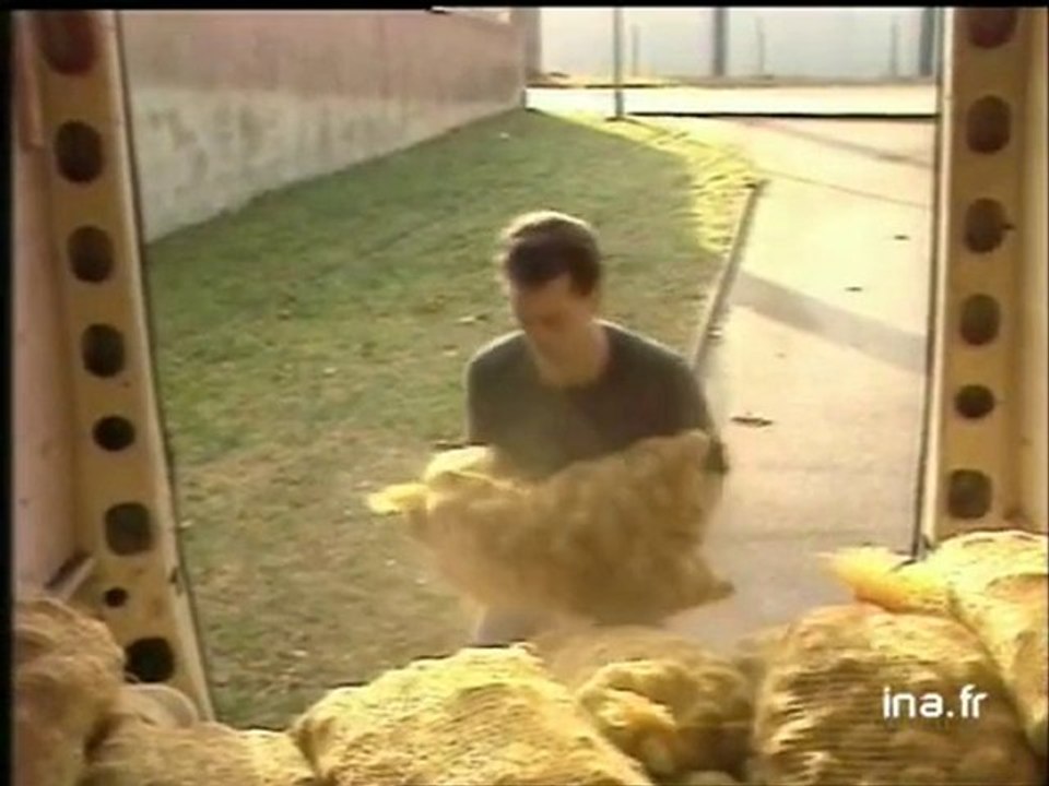 LES RESTAURANTS DU COEUR