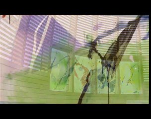 Découvrez le Couvent Dominicain à Louvain-la-Neuve 🕊️