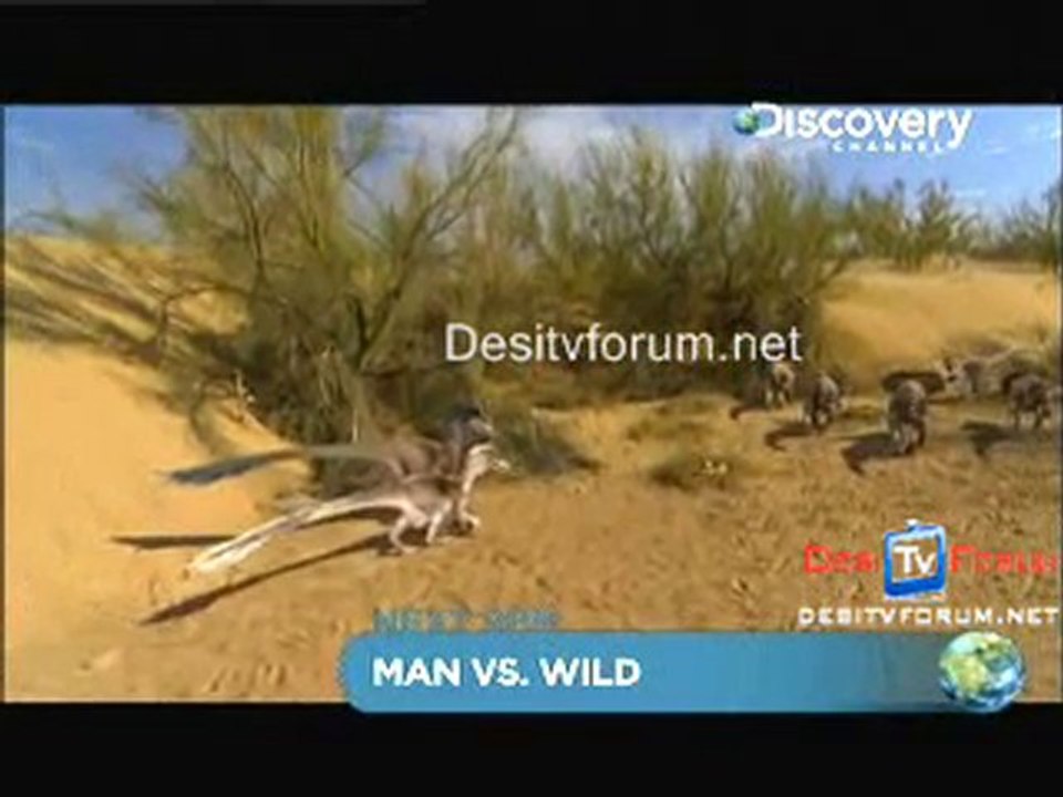 Dinosaur Planet 26th October 2010 Video Part5