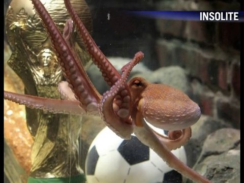 Le Journal vidéo du mardi 26 octobre 2010, édition de 18H00