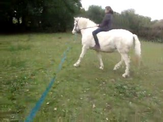 Comment faire un mini film mal tourné ???