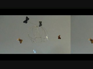 Création cage à papillons Valérie Albertosi