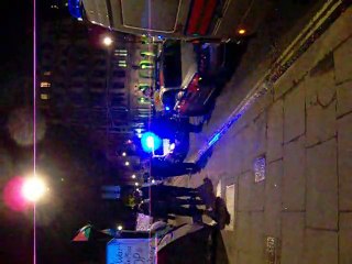irish neo nazi gets arrested in parliament square