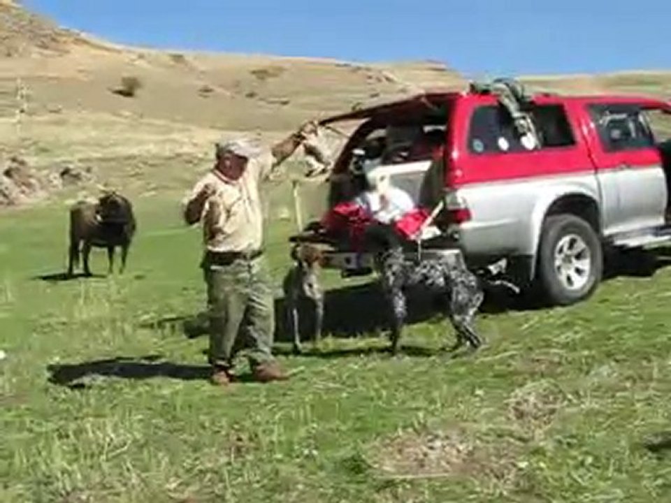 Hep Av olmaz Birazda Eğlence ?