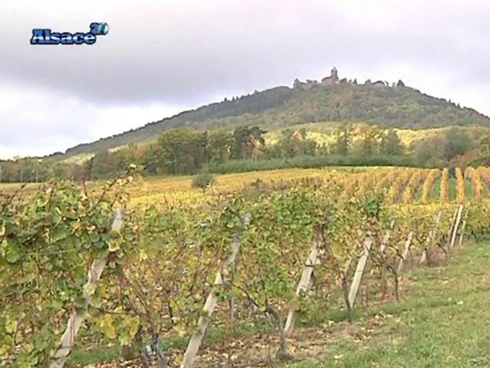 Redécouvrir le château du Haut-Koenigsbourg (Alsace)
