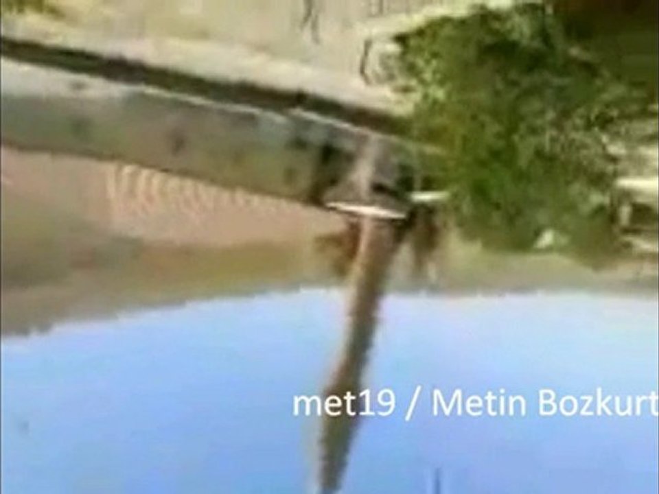 muhtar