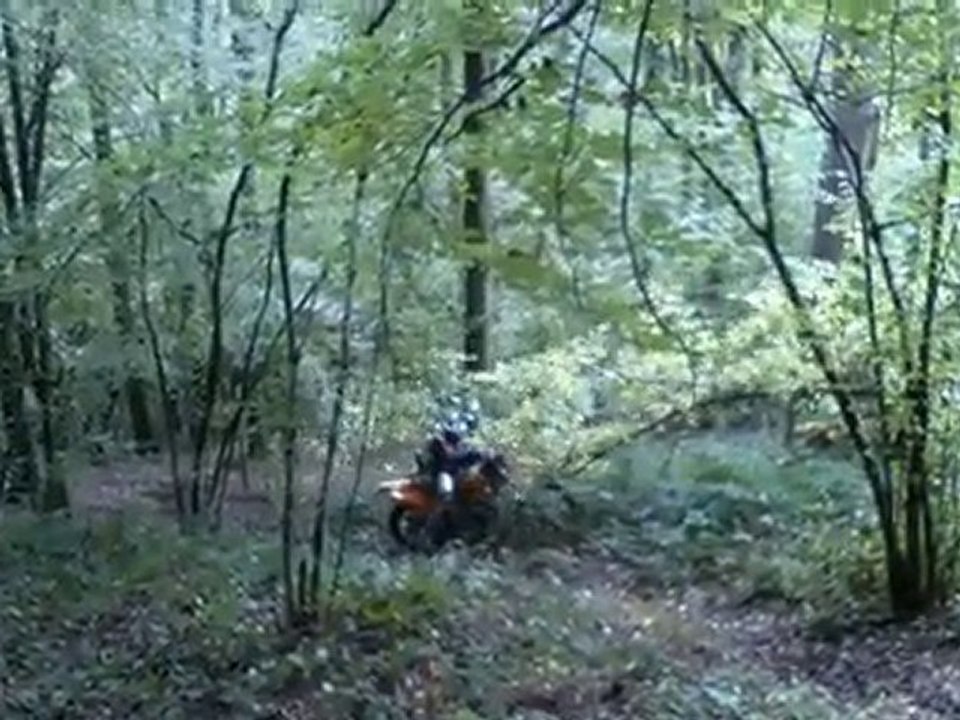 105_0063 15-20