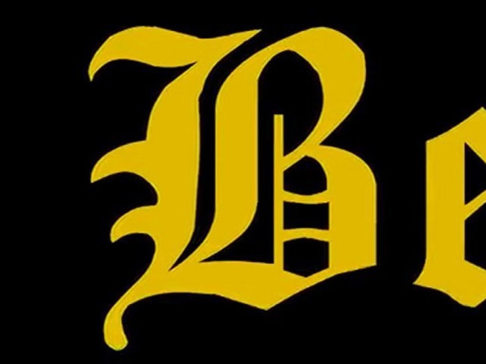 BS11 PI 2010