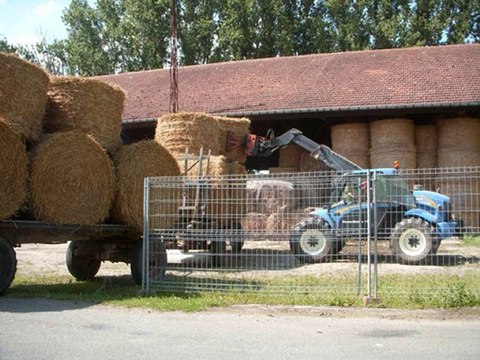 Ramassage de la paille dans l'Oise