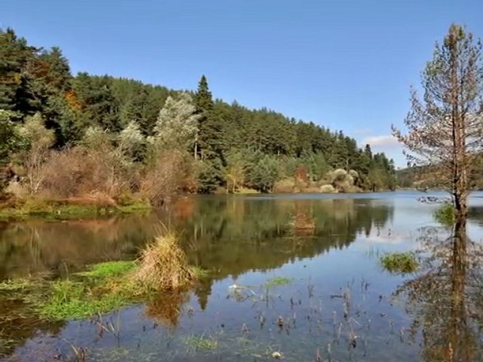BOZCAARMUT