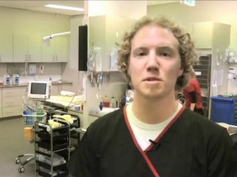 Vet Osborne Park Perth Vet Emergency WA