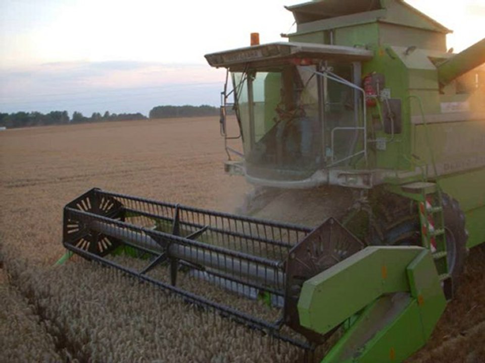 Wheat harvest in Oise