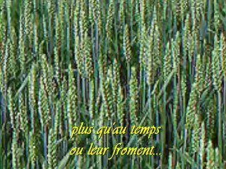 Psaume 4 L'Éternel est ma sécurité