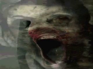 Watch Vampire Diaries Season 2 Episode 8 Exclusive Video