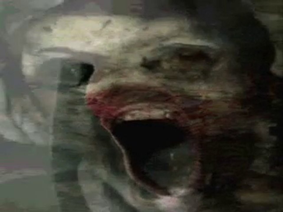 Watch Vampire Diaries Season 2 Episode 8 Exclusive Video