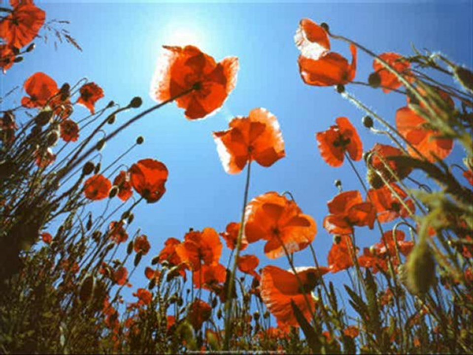 DeLaLé Ka Ew Soza Te Damin