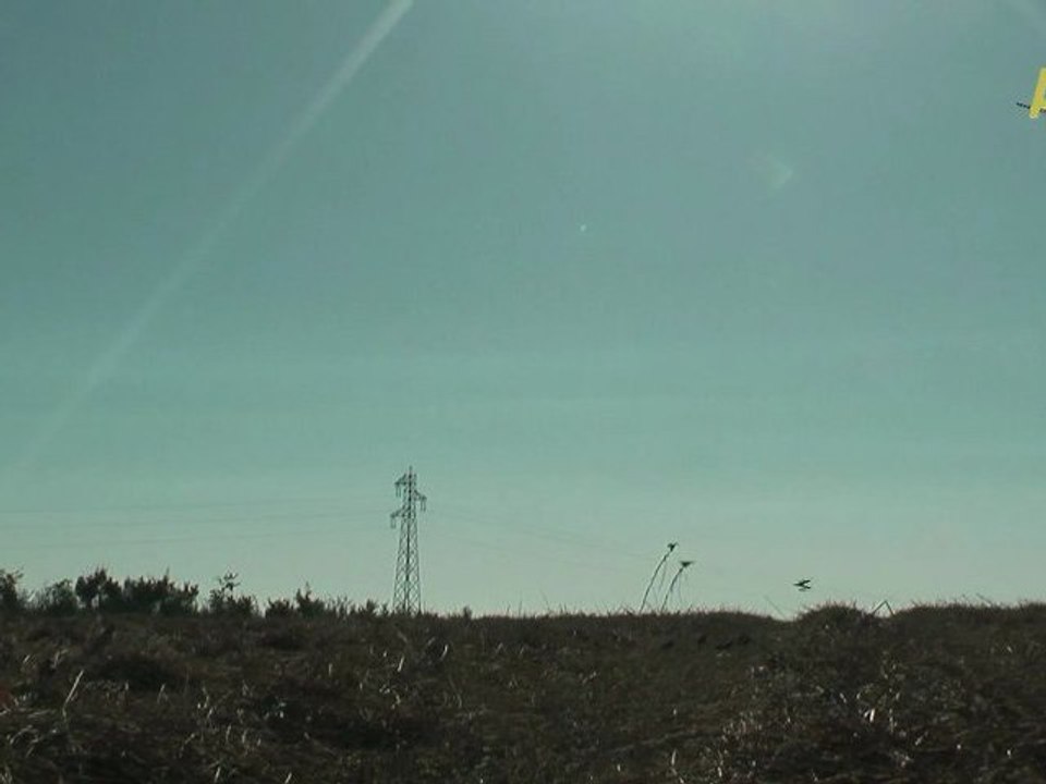 chasse etourneau