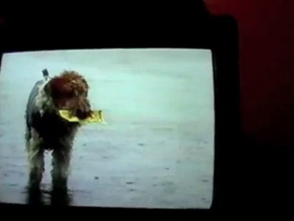 Wilson and the lotto ticket - New Zealand Lotto TVCommercial